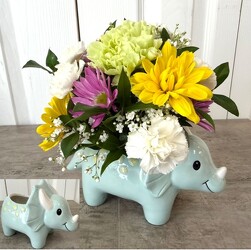 Dino Delight from Aladdin's Floral in Idaho Falls
